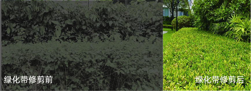 资源 14@300x-100(1).jpg