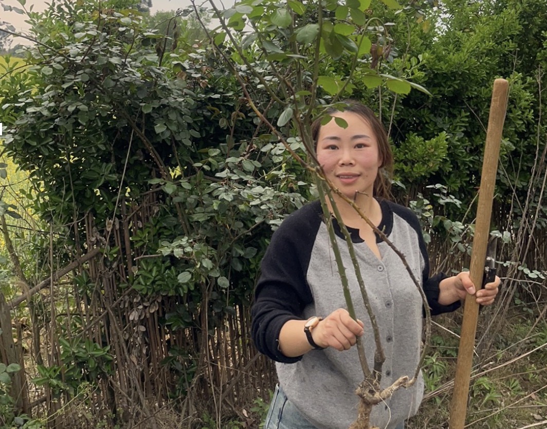 1681441363680829.png image.png