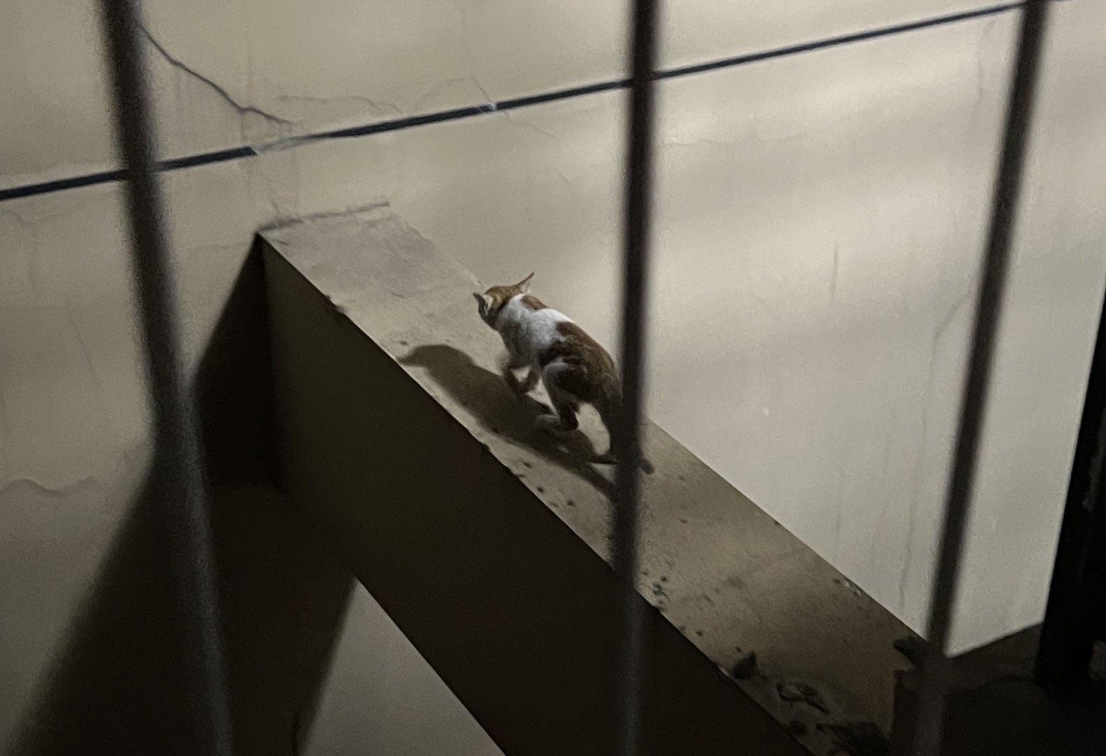 1702539135664902.jpg 18911702539131_.pic.jpg