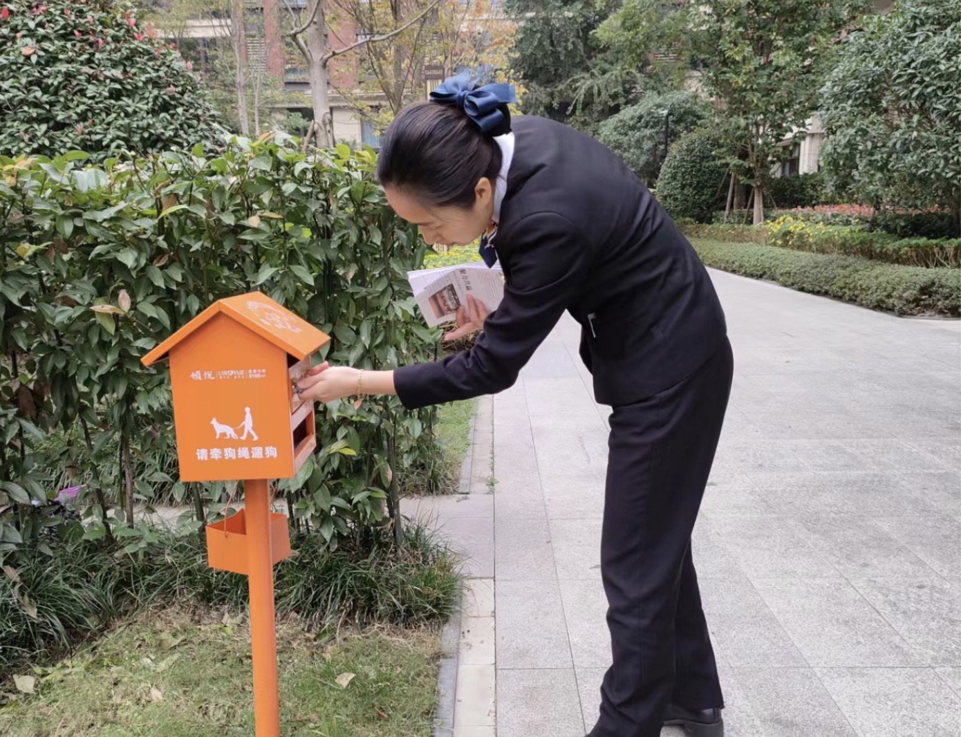 1702539909175584.jpg 18941702539883_.pic.jpg